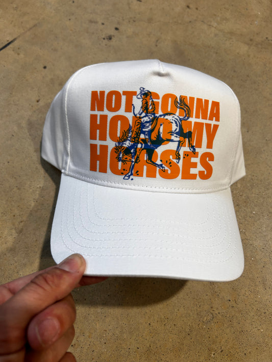 Not Gonna Hold My Horses Trucker