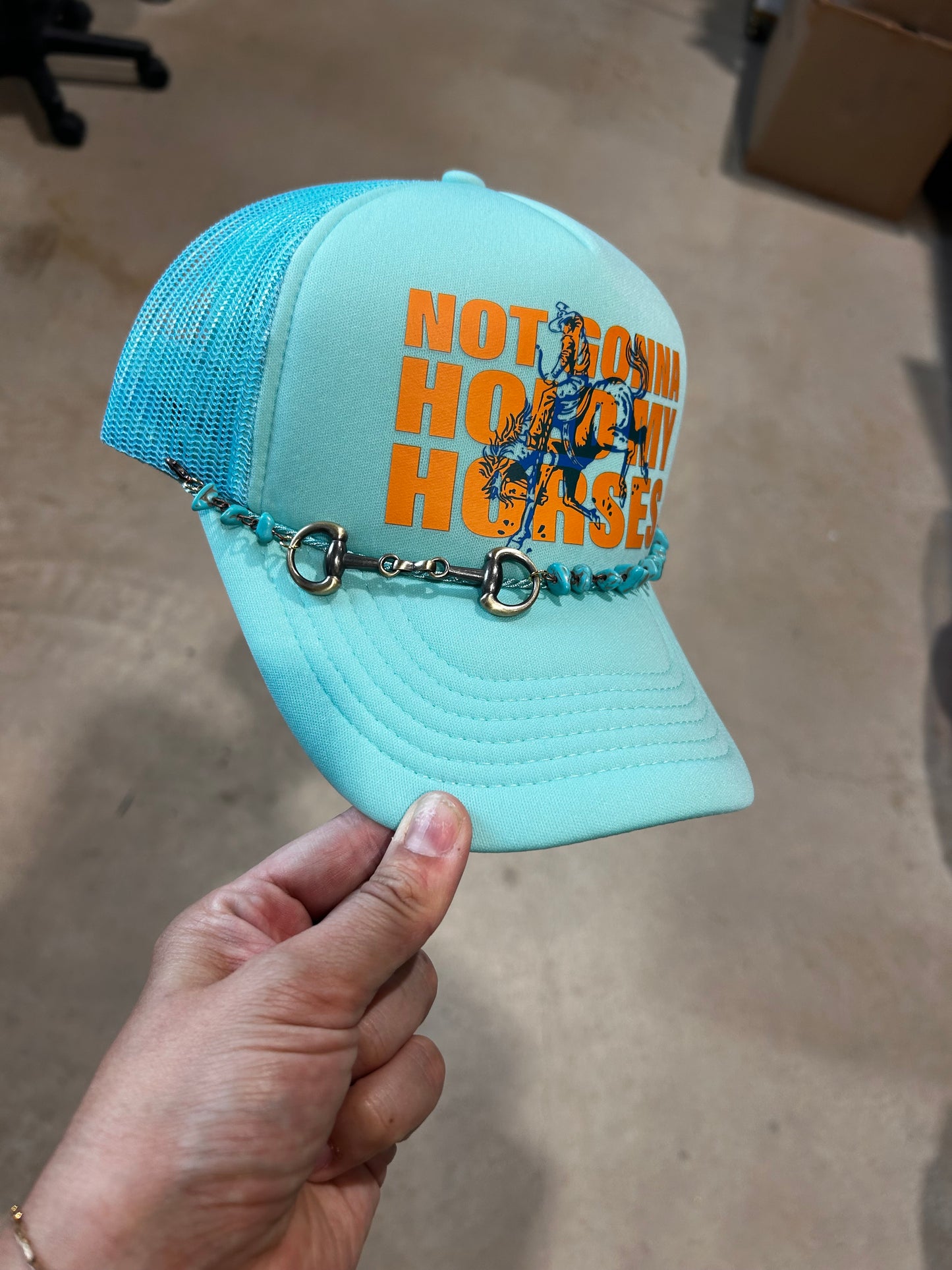 Not Gonna Hold My Horses Trucker